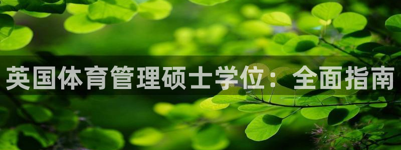 必一体育在线玩：英国