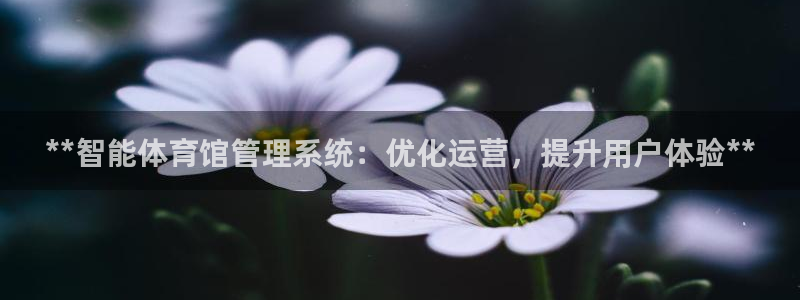 必一体育app平台下