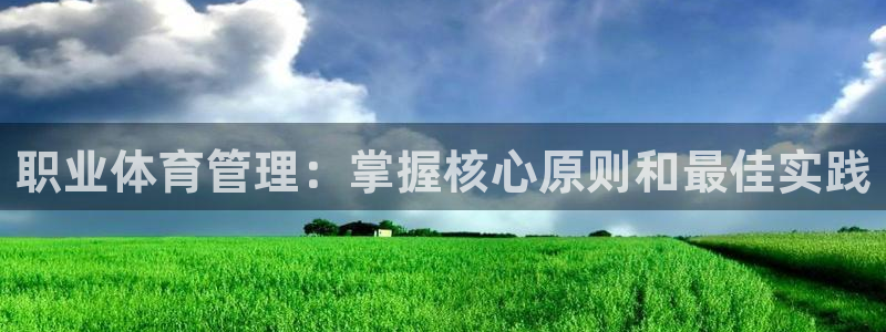 必一体育sport装