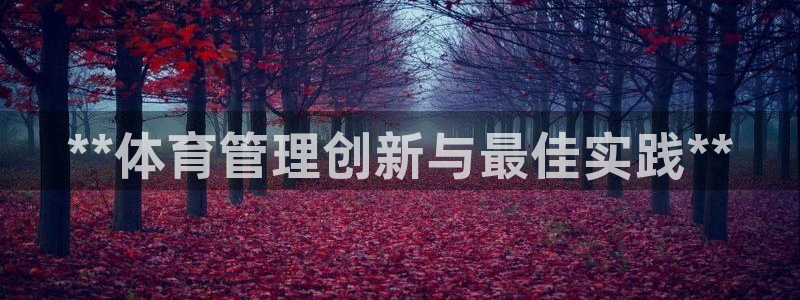 必一运动体育app：
