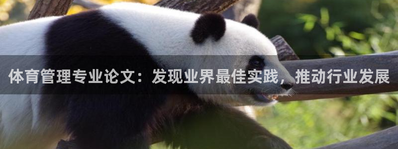 必一体育在线官网：体