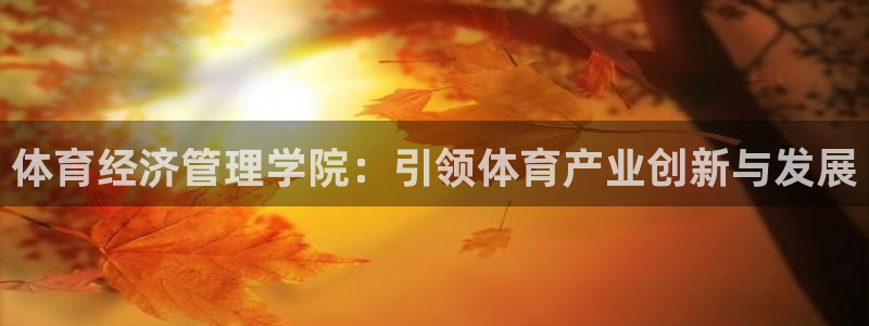 必一体育登陆：体育经