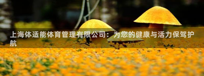 必一体育在线入口：上