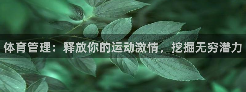 必一体育sport装