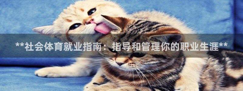 必一体育服下载最新版