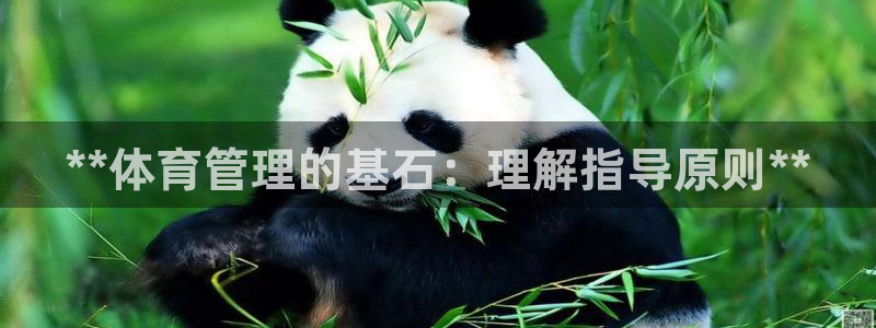 必一体育官方入口：*