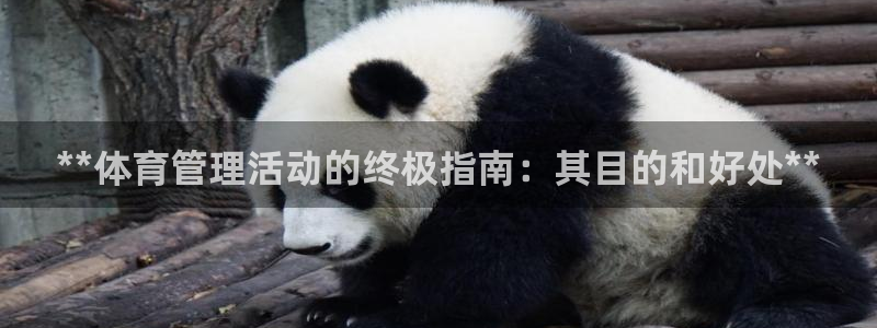 必一体育sport下