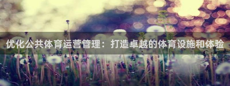 必一体育APP：优化