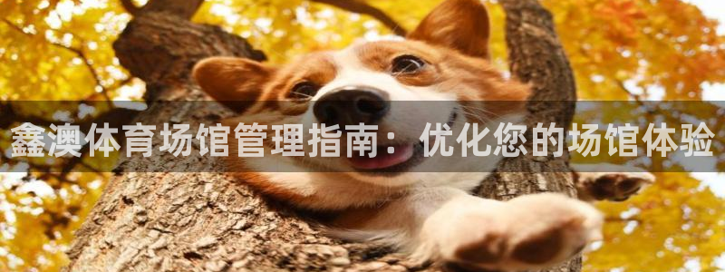 必一运动sport爱