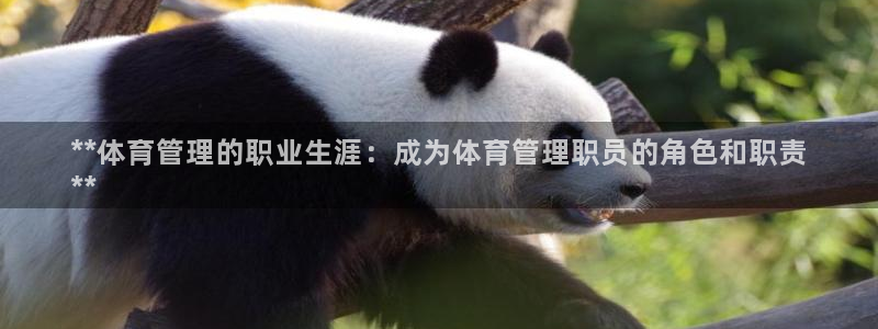 必一体育下载app下