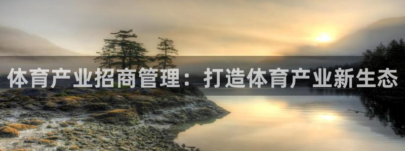 Bsport体育必一