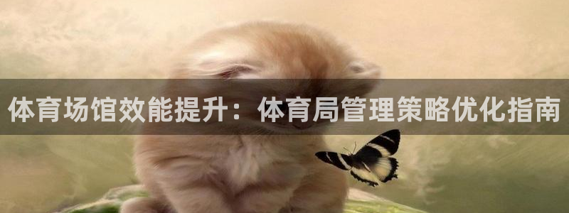 必一体育是哪里的台子