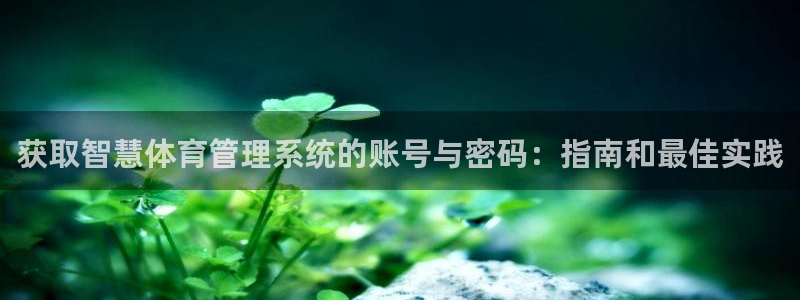 必一运动sport爱