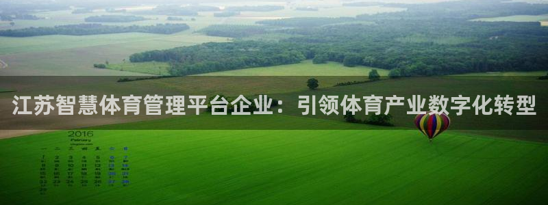 必一体育平台：江苏智