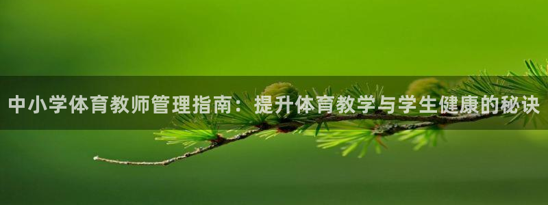 必一体育app下载最
