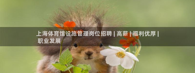必一体育黑平台：上海