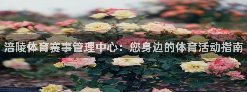 必一运动体育官网：涪