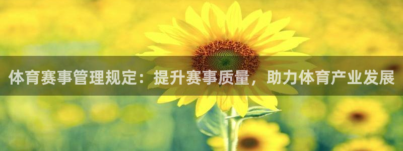 必一体育在哪下：体育
