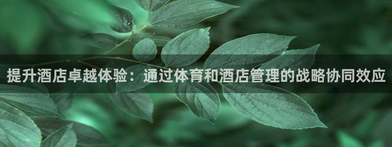 必一体育网页登录版官