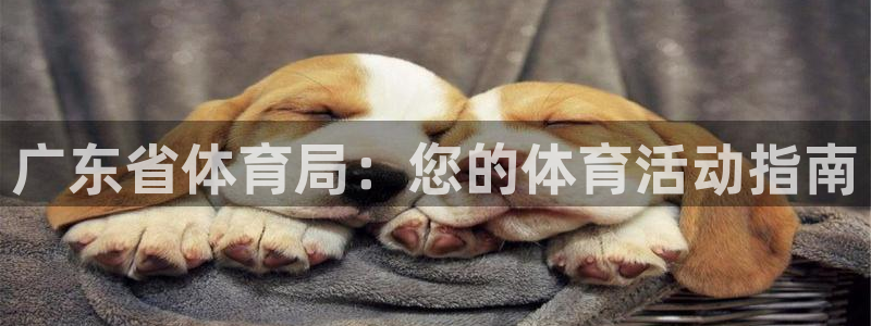 必一体育官网网址：广