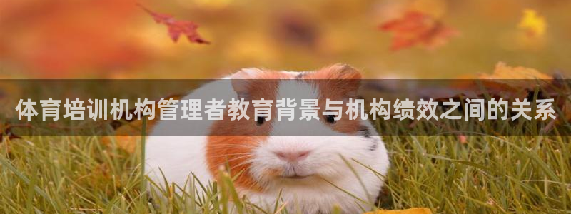 必一体育下载移动版：