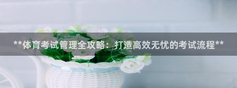 必一体育官网网址：*