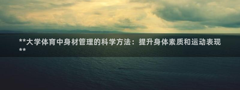 必一体育运动下载：*