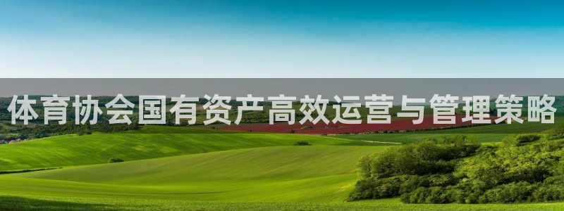 必一运动aop：体育