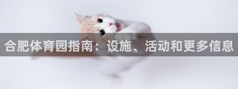 必一体育平台：合肥体