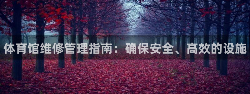 必一体育黑平台：体育
