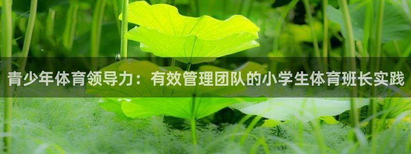 必一体育sport下