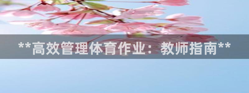 必一体育网址：**高