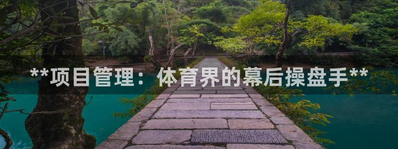 必十二和必一的副作用