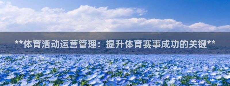 必一体育sport下