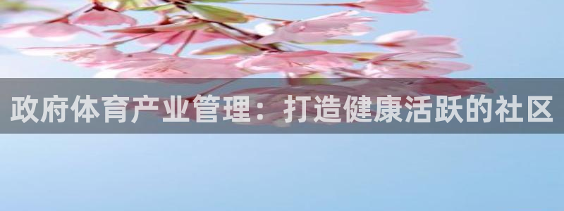 必一体育旧版：政府体