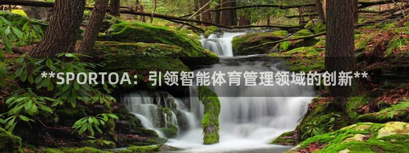 必一体育网址：**S
