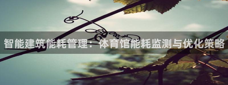 必一体育游戏玩法：智