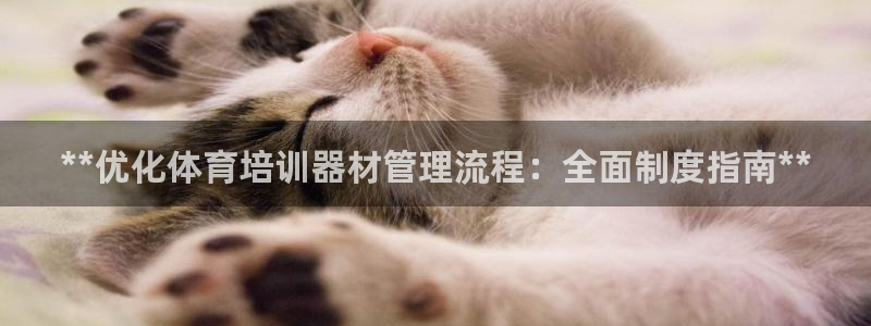 必一体育app下载最