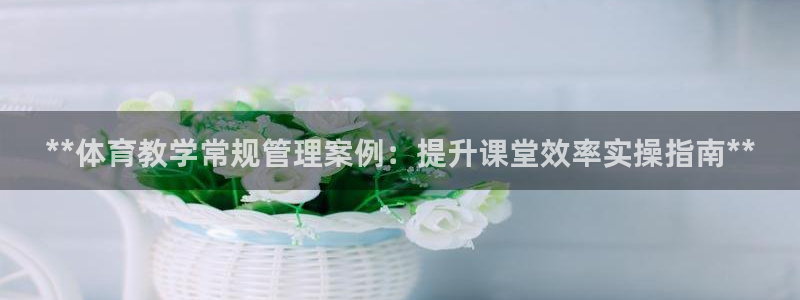 必一运动sport爱
