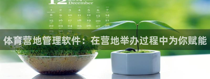 必一体育电子app：