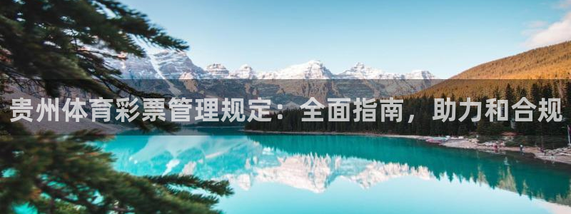 必一体育sport网
