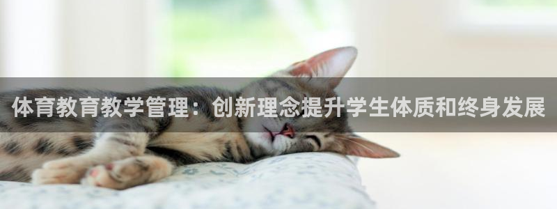 必一运动体育官网下载