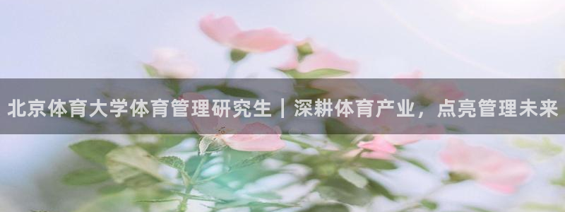 必一体育在线玩：北京