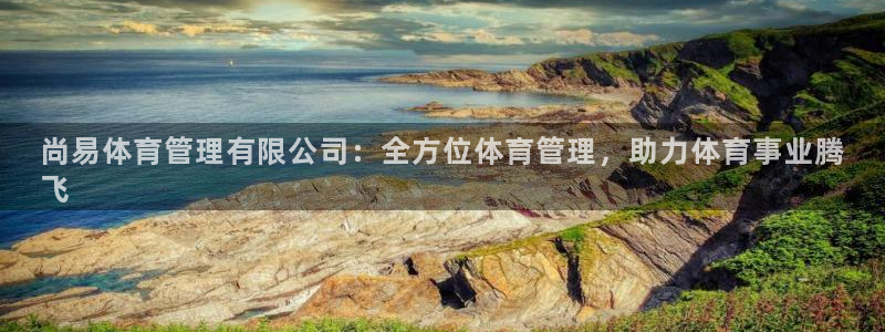 必一体育是啥：尚易体