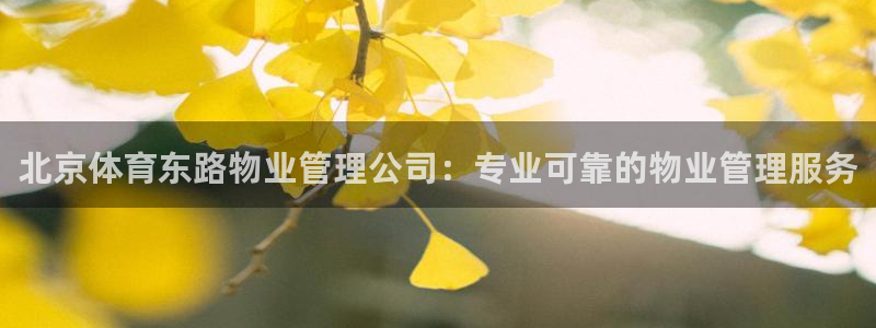 必一体育app下载：