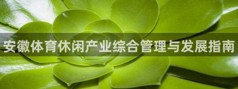 必一体育流水线是什么