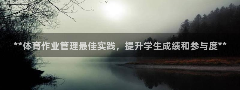必一体育最新官网入口