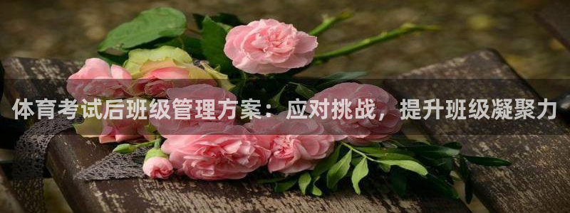 必一体育下载义：体育