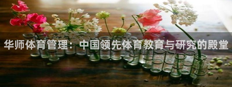 必一体育能提现大金额