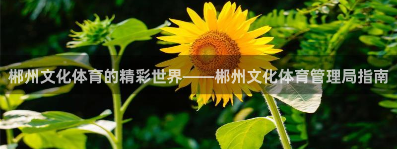 必一体育下载登入：郴